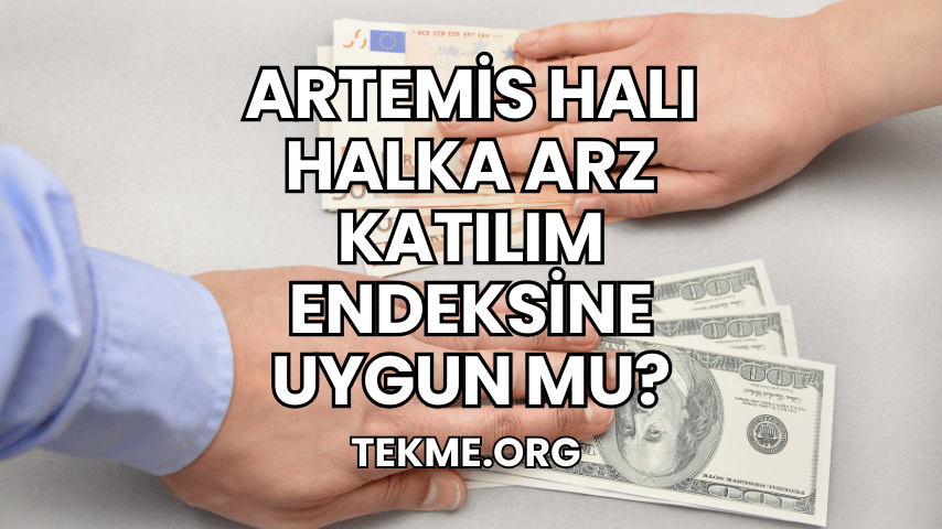 Artemis Halı Halka Arz Katılım Endeksine Uygun mu?