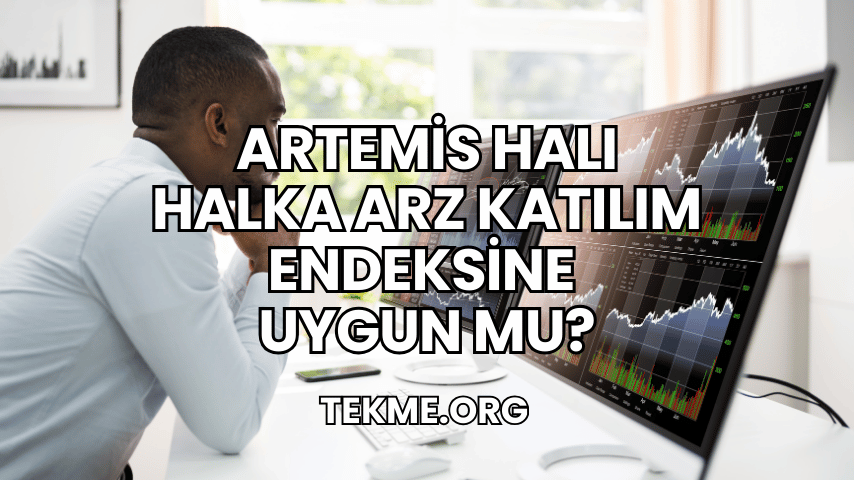 Artemis Halı Halka Arz Katılım Endeksine Uygun mu?