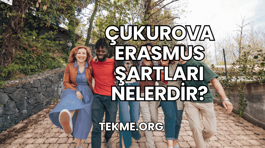 Çukurova Erasmus Şartları Nelerdir?