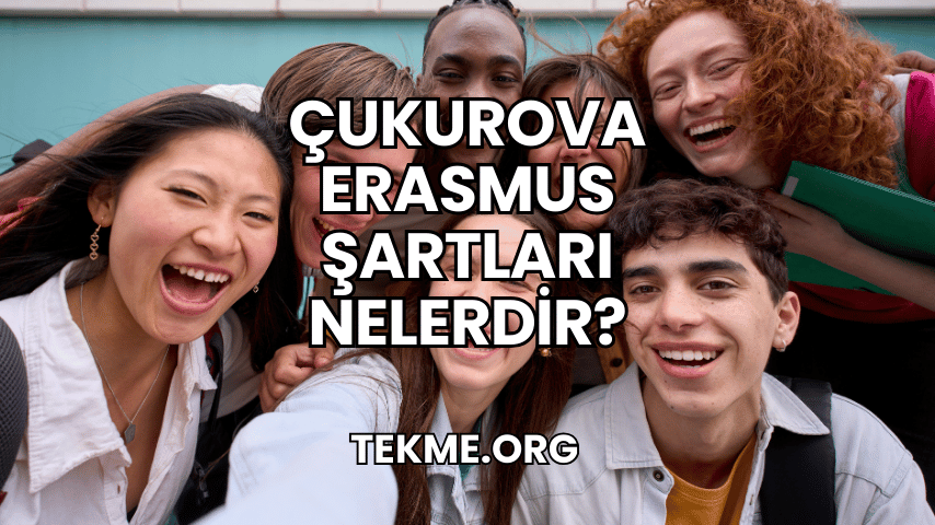 Çukurova Erasmus Şartları Nelerdir?