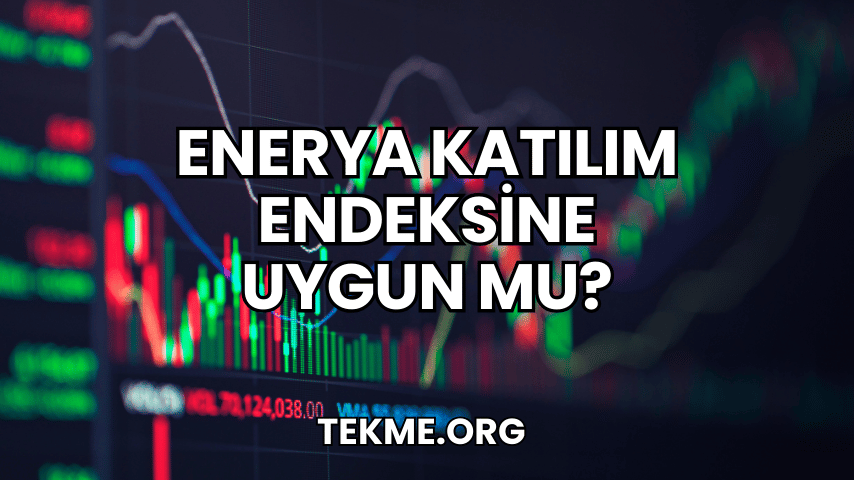 Enerya Katılım Endeksine Uygun mu?