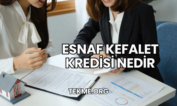 Esnaf Kefalet Kredisi Nedir