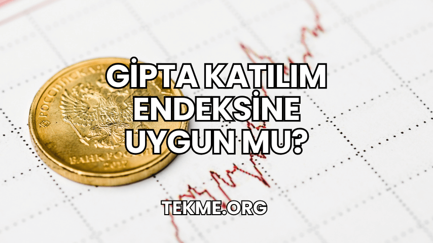 Gipta Katılım Endeksine Uygun mu?