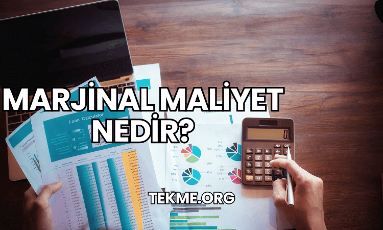 Marjinal Maliyet Nedir?