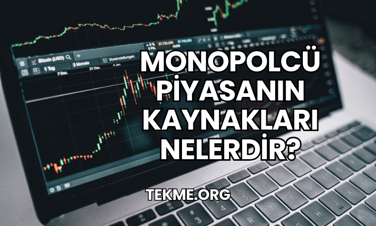 Monopolcü Piyasanın Kaynakları Nelerdir?