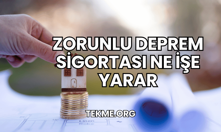 Zorunlu Deprem Sigortası Ne İşe Yarar