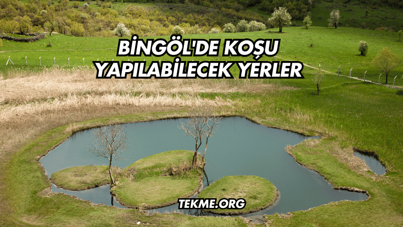 Bingöl'de Koşu Yapılabilecek Yerler