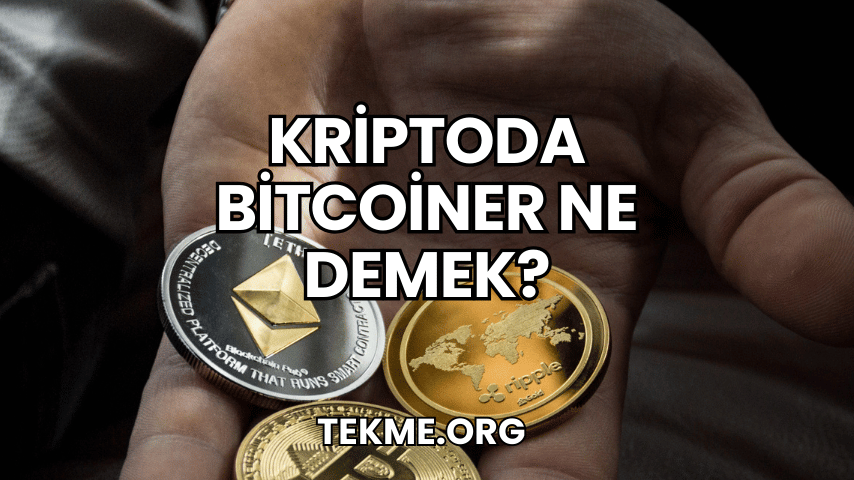 Kriptoda Bitcoiner Ne Demek?