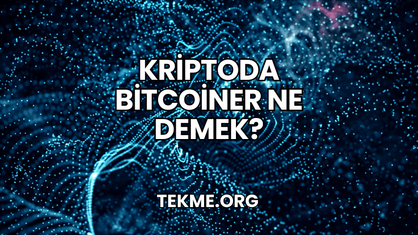 Kriptoda Bitcoiner Ne Demek?