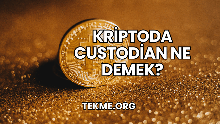 Kriptoda Custodian Ne Demek?