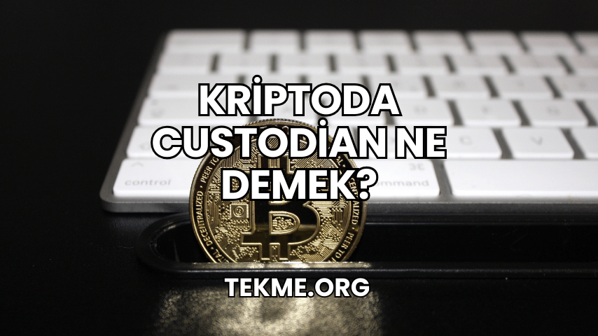 Kriptoda Custodian Ne Demek?