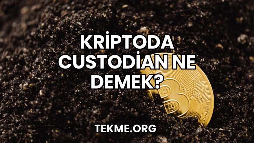 Kriptoda Custodian Ne Demek?