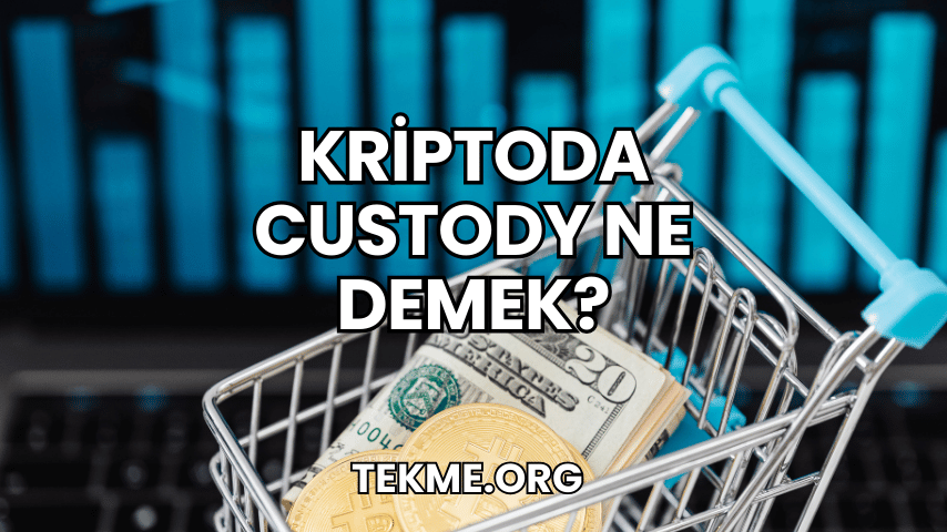 Kriptoda Custody Ne Demek?