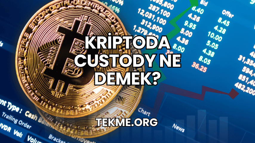 Kriptoda Custody Ne Demek?