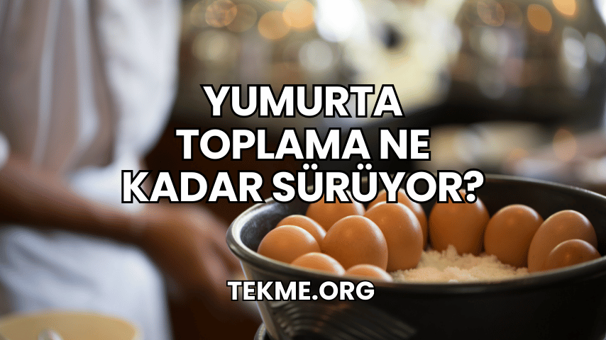 Yumurta Toplama Ne Kadar Sürüyor?