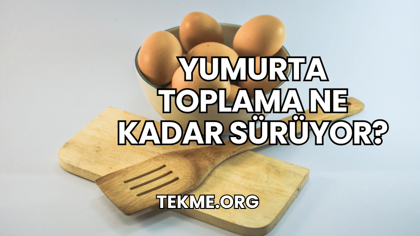 Yumurta Toplama Ne Kadar Sürüyor?