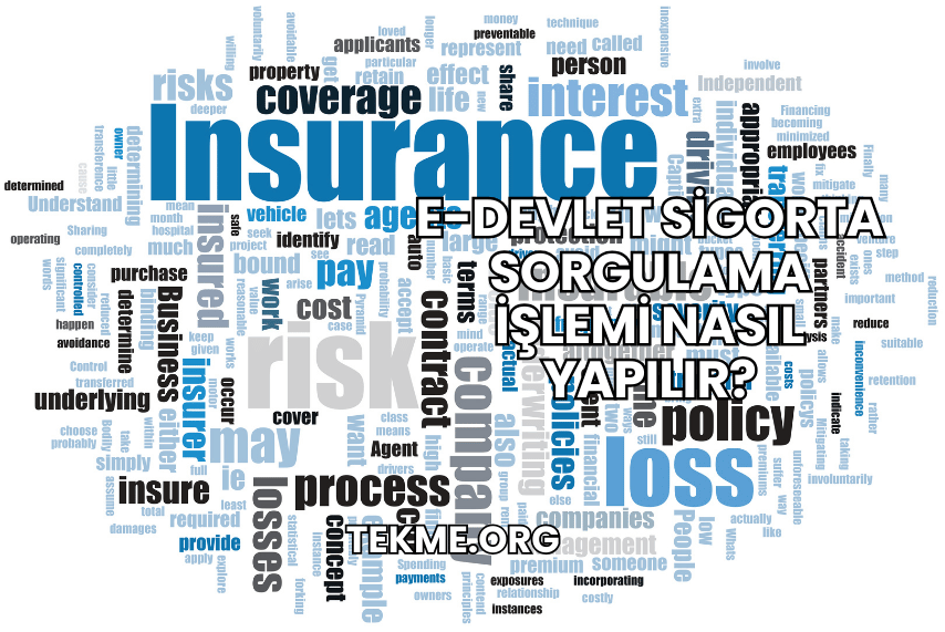 E-Devlet Sigorta Sorgulama İşlemi Nasıl Yapılır?