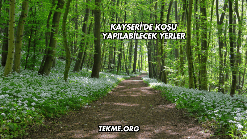 Kayseri'de Koşu Yapılabilecek Yerler