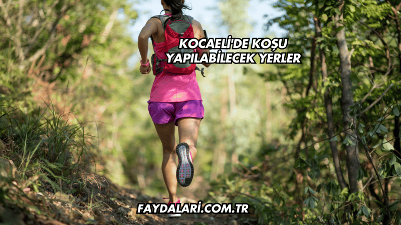 Kocaeli'de Koşu Yapılabilecek Yerler