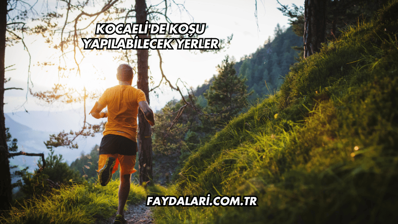 Kocaeli'de Koşu Yapılabilecek Yerler