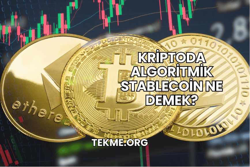 Kriptoda Algoritmik Stablecoin Ne Demek?