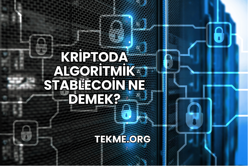 Kriptoda Algoritmik Stablecoin Ne Demek?