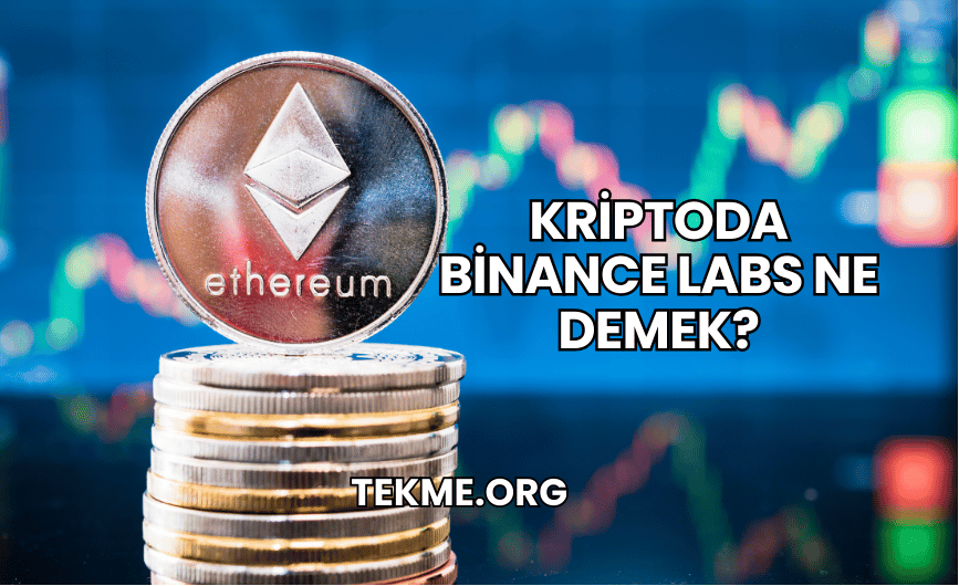 Kriptoda Binance Labs Ne Demek?