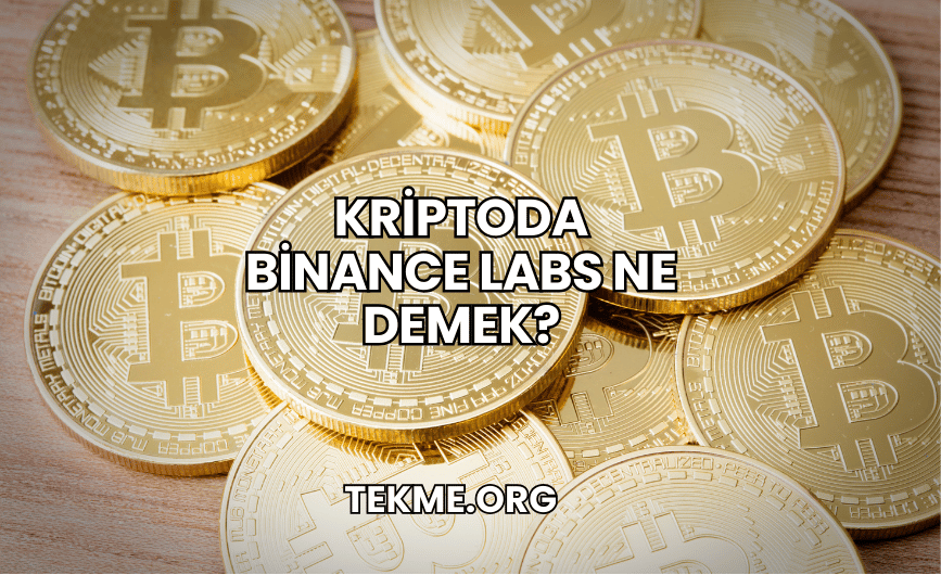 Kriptoda Binance Labs Ne Demek?