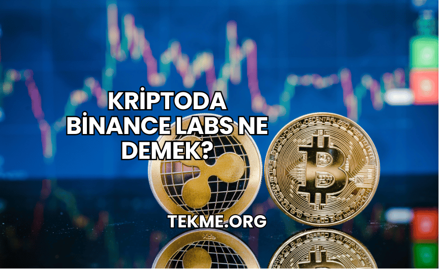 Kriptoda Binance Labs Ne Demek?