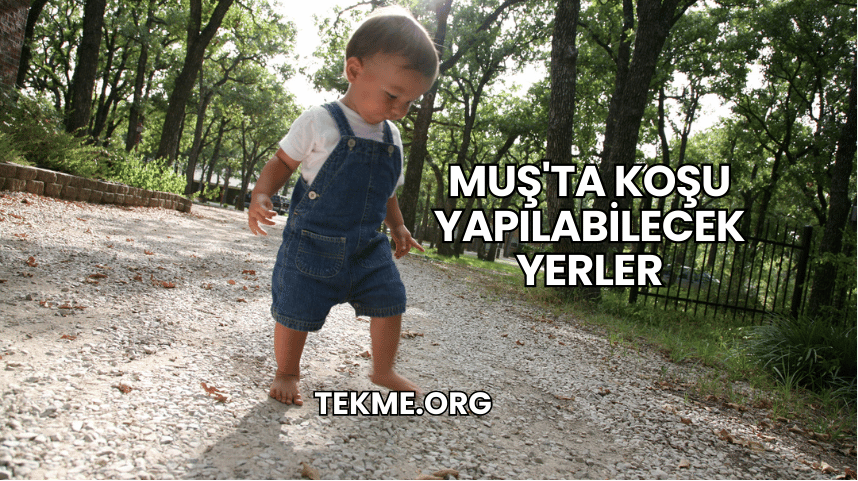 Muş'ta Koşu Yapılabilecek Yerler