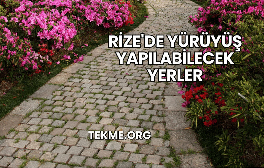 Rize'de Yürüyüş Yapılabilecek Yerler