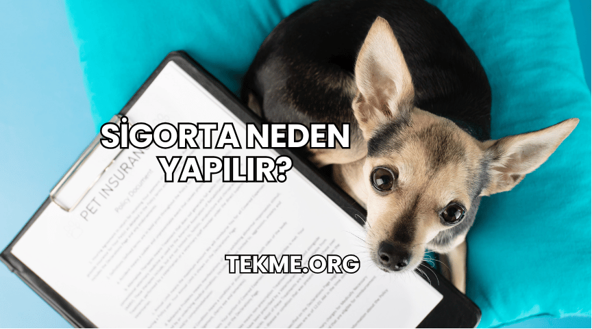 Sigorta Neden Yapılır?