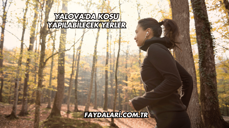 Yalova'da Koşu Yapılabilecek Yerler