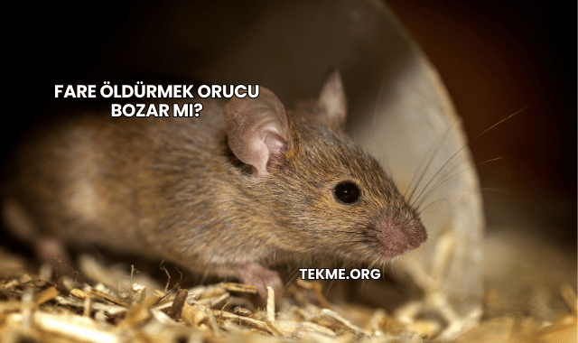 Fare Öldürmek Orucu Bozar mı?