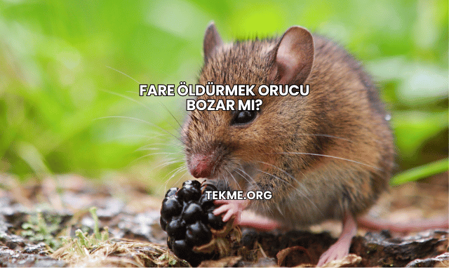 Fare Öldürmek Orucu Bozar mı?