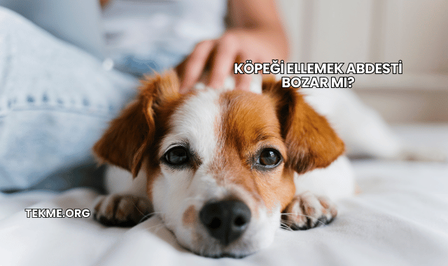 Köpeği Ellemek Abdesti Bozar mı?