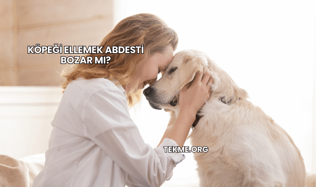 Köpeği Ellemek Abdesti Bozar mı?