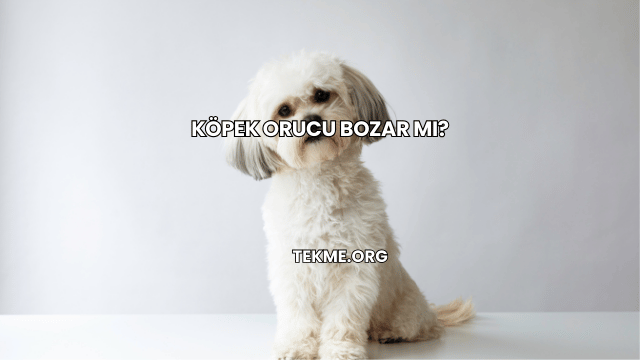 Köpek Orucu Bozar mı?